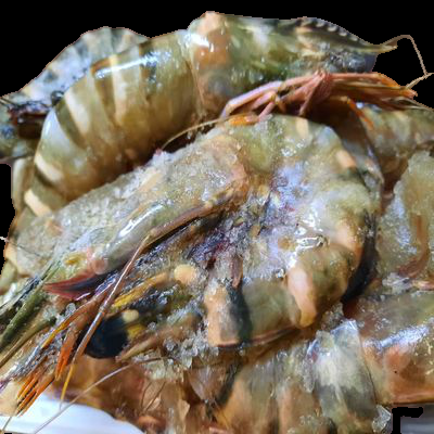 TIGER PRAWNS 500G