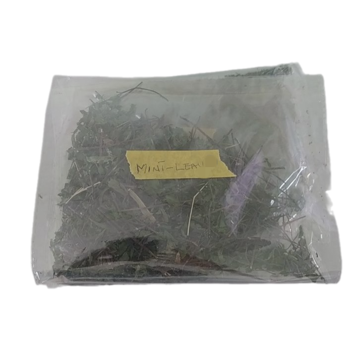 DRY MINT LEAF