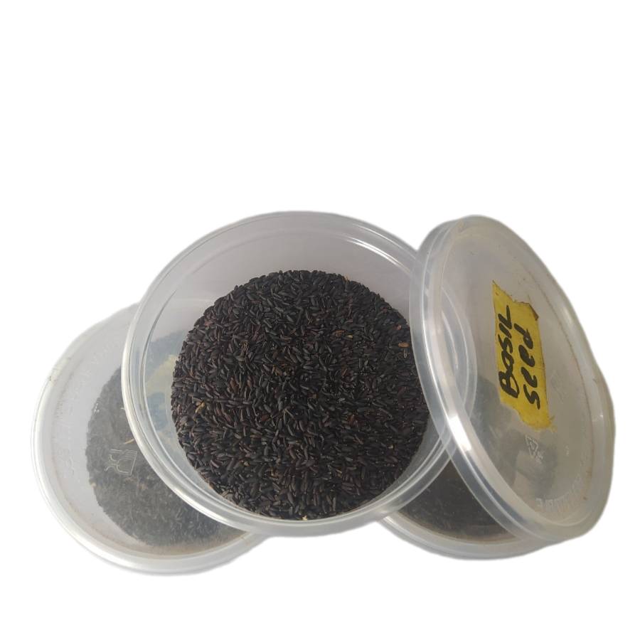 BASIL SEED