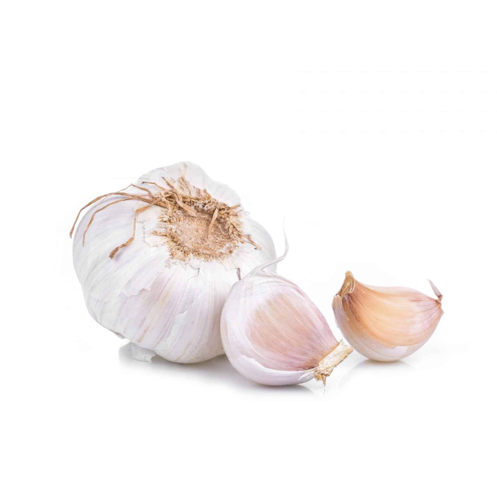 GARLIC PULP