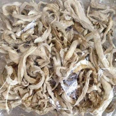 DRIED MUSHROOMS BIG