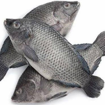 BLACK TILAPIA FISH 1KG