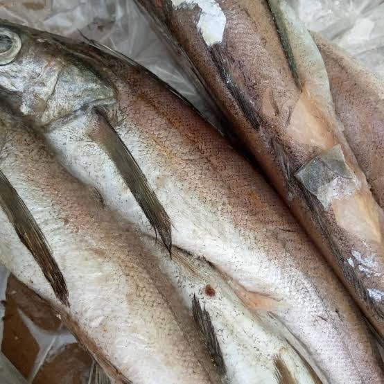 HAKE FISH 1KG