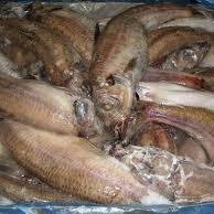 EXPRESS FISH 1KG