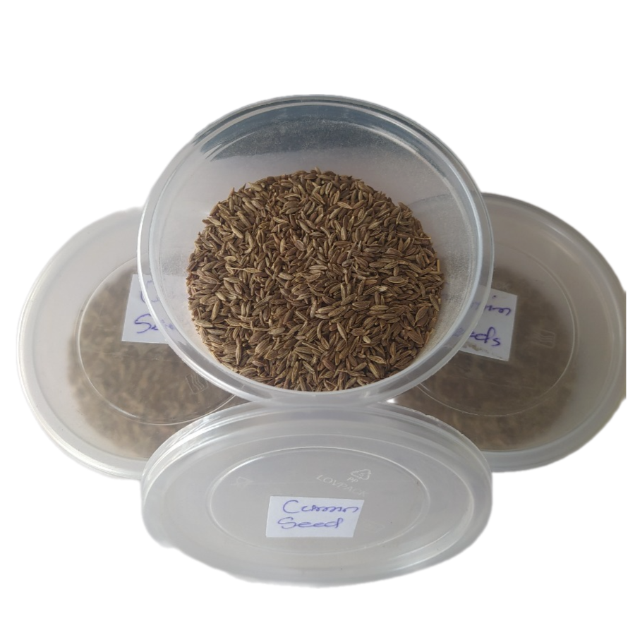 CUMMIN SEED