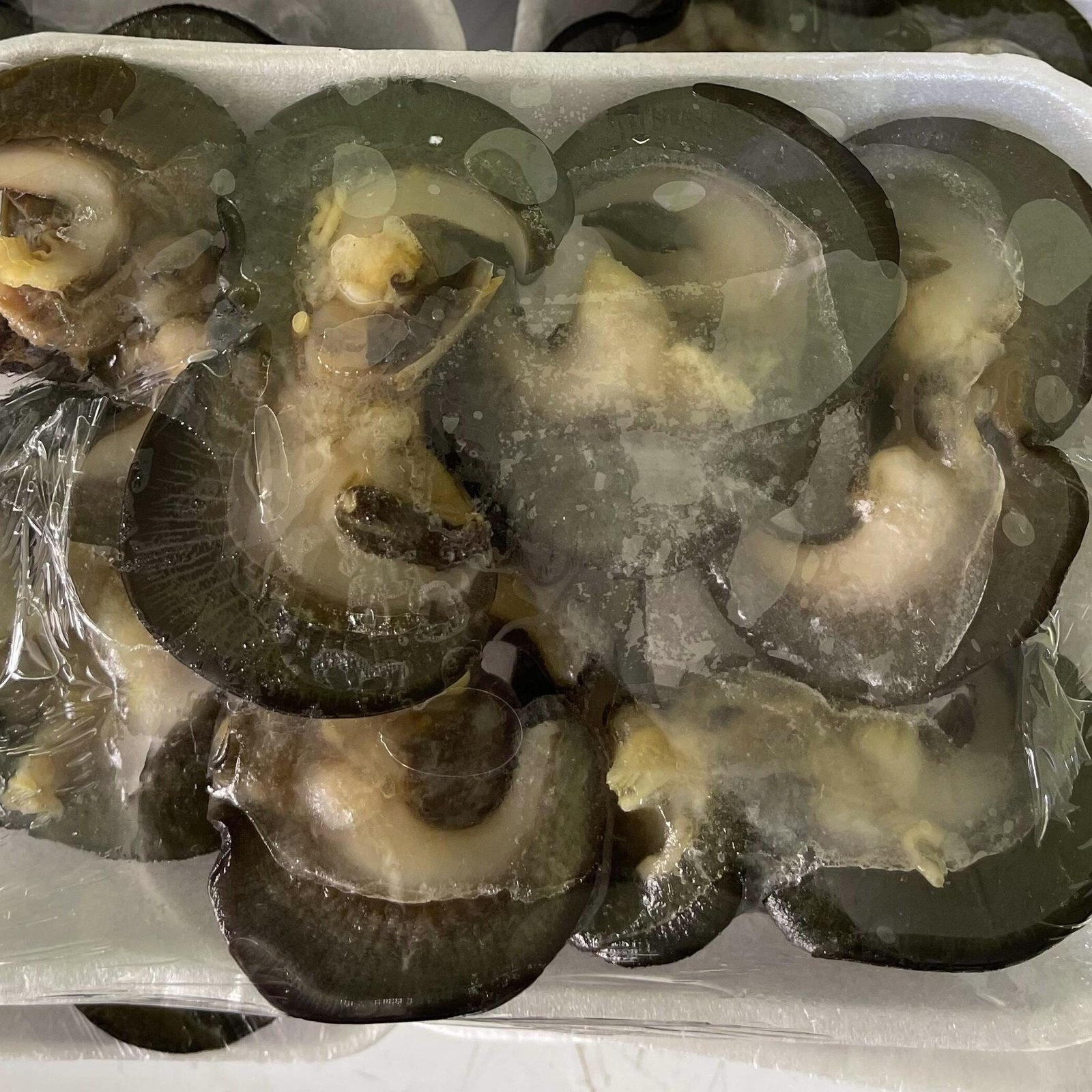 SNAIL 500G