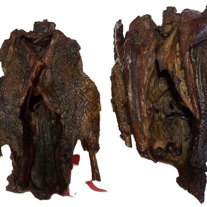 FULL AWO (Guinea Fowl) big