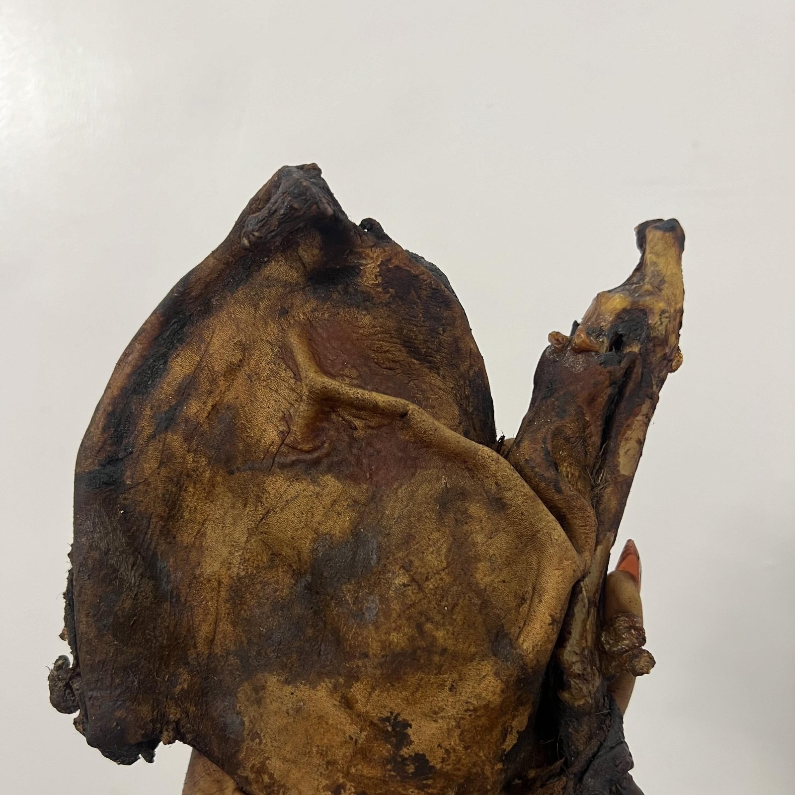 ETU CUTLET (Antelope) BIG