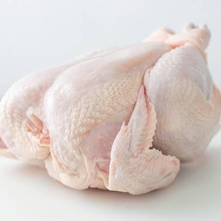 BIG WHOLE CHICKEN 