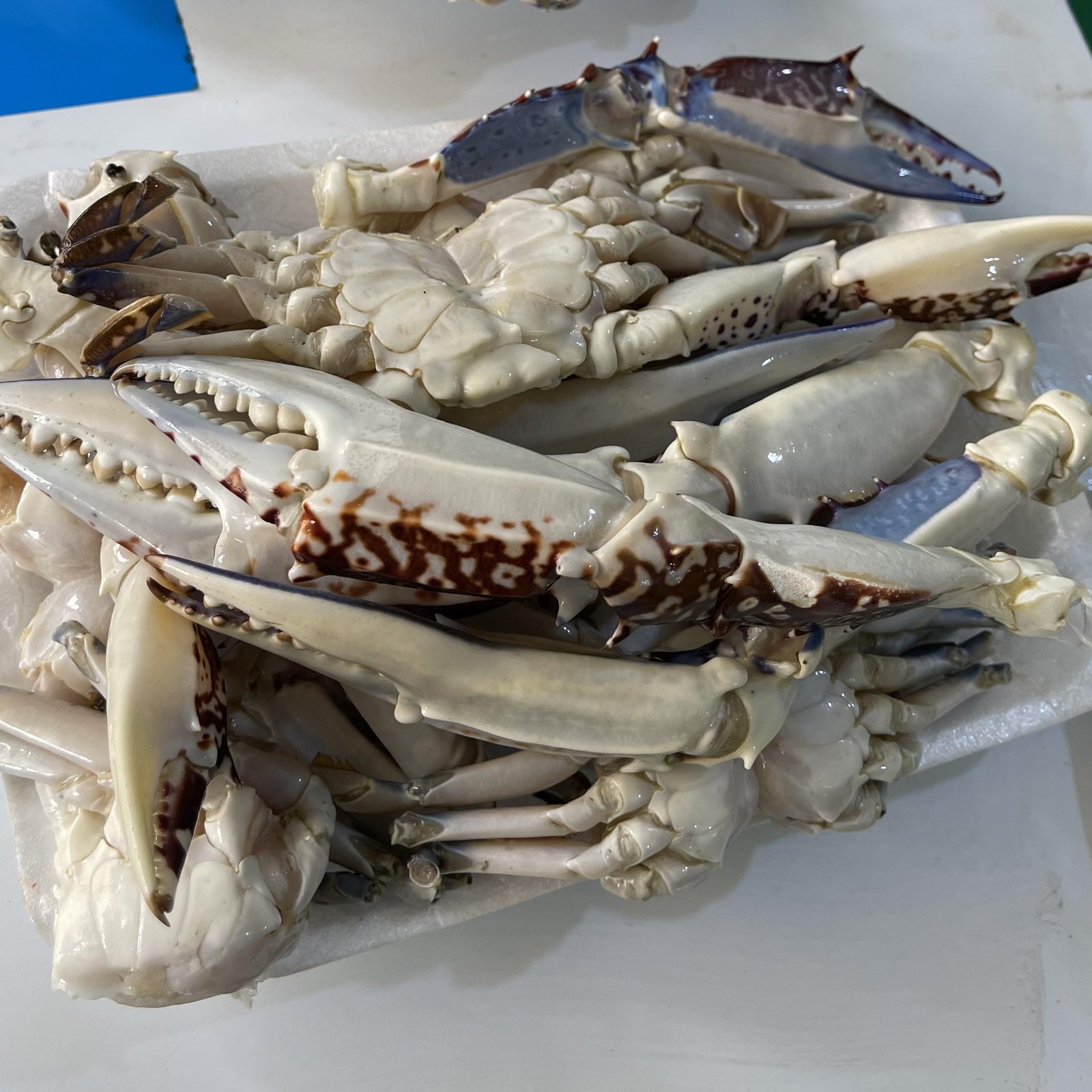 CRAB (FULL) 500G