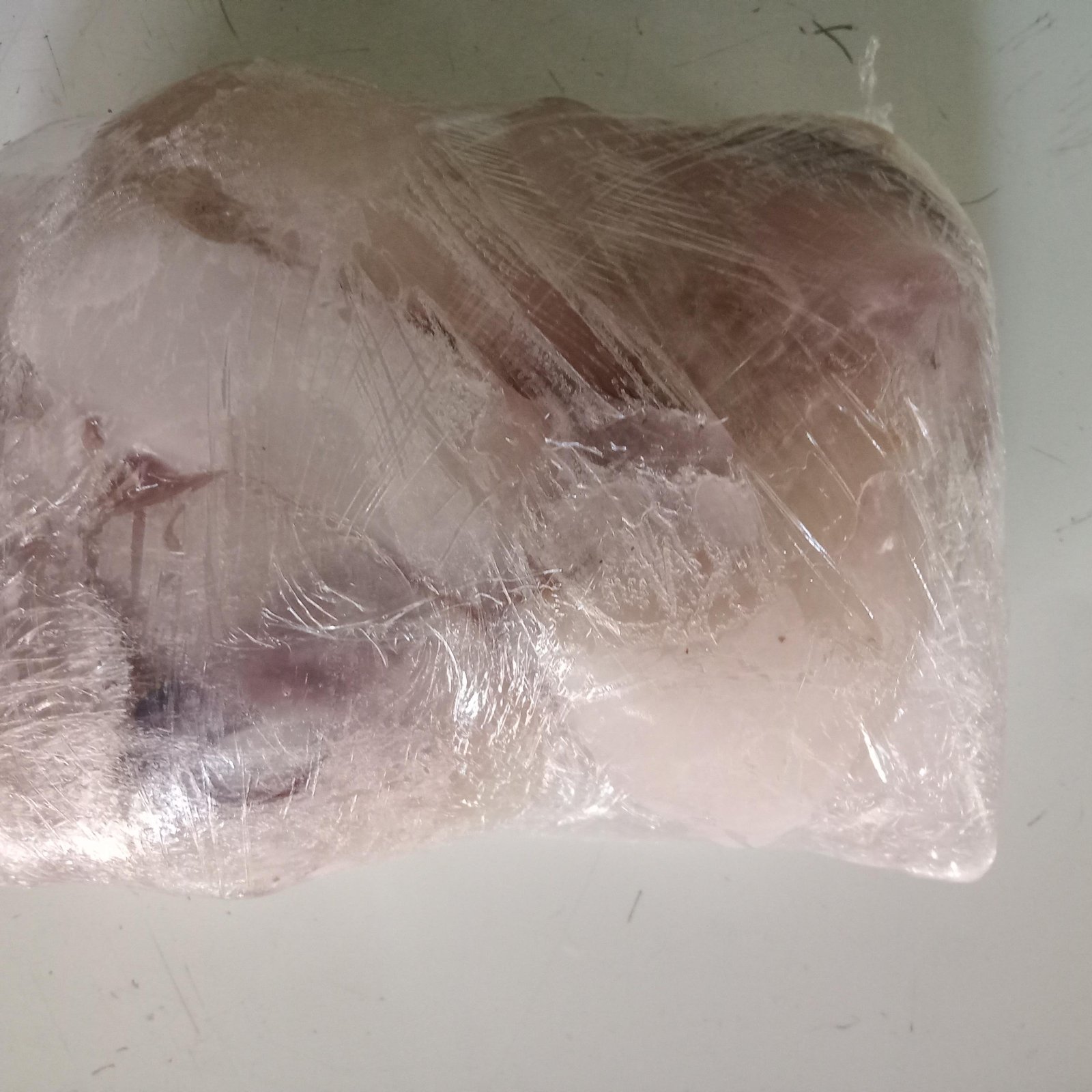 CALAMARI FISH 250G