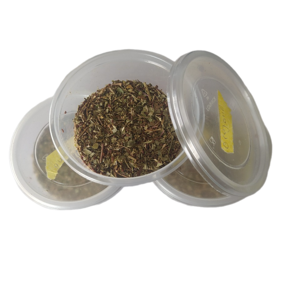 OREGANO 