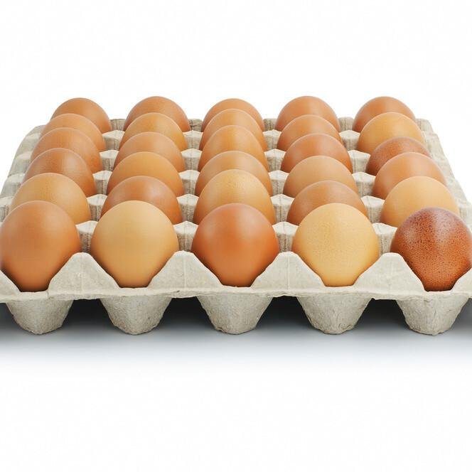 FRESH EGGS PER CRATE/ PCS