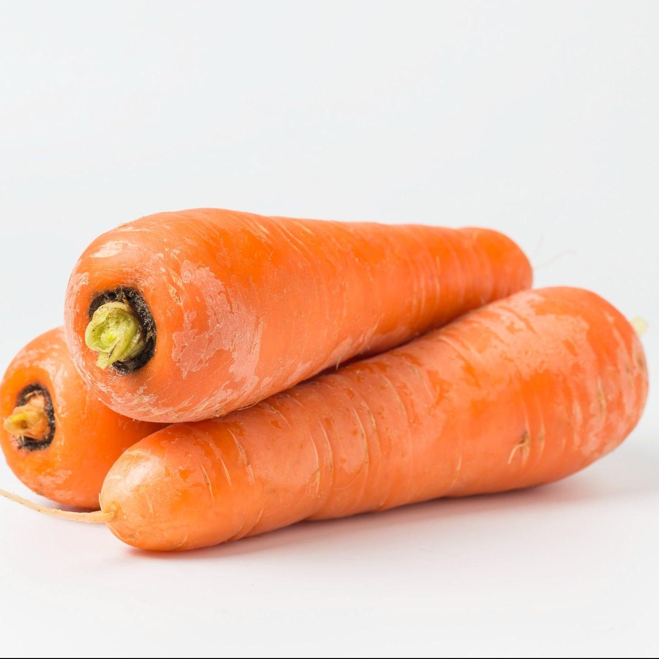 CARROT 