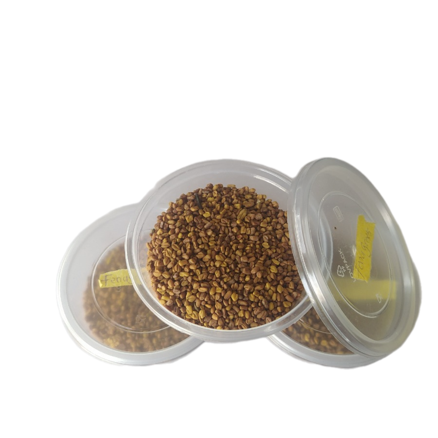 FENUGREEK SEED