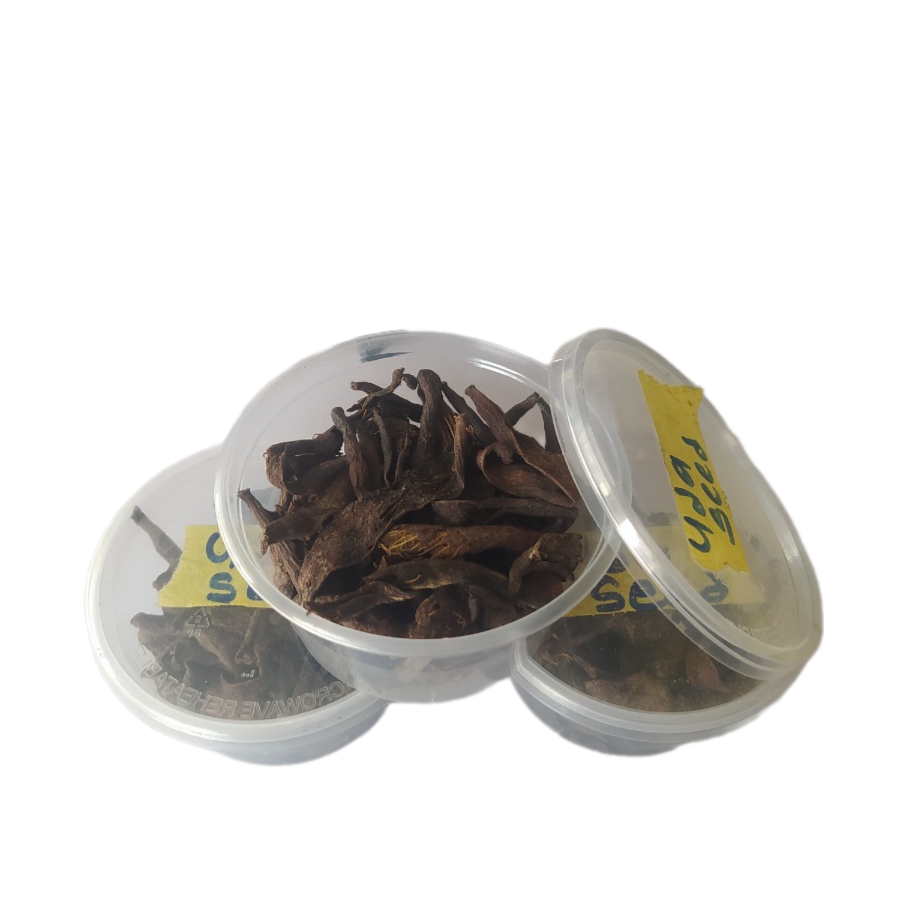 UDA SEED 